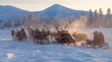 Фото: Михаил Местников