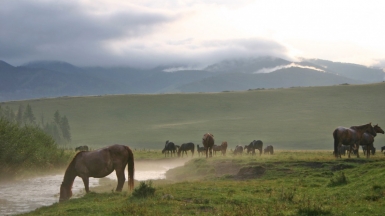 Фото: stepa on visualhunt