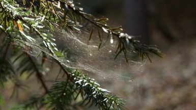 Фото нашего инструктора Ирины Пшестанчик