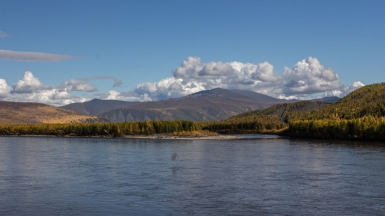 Фото: Михаил Местников