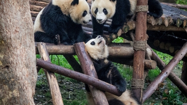 Автор: Mondo79, источник: visualhunt