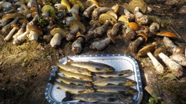 Фото наших Странников