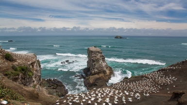 Фото нашей Странницы Татьяны Руновой