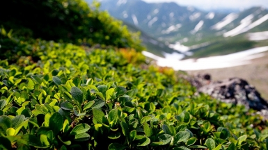 Фото: Степанов Илья