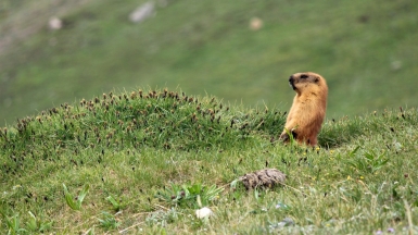 Из архива Клуба