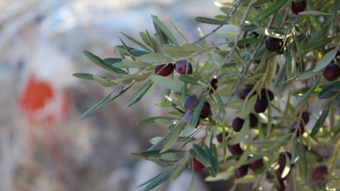 Фото: Borya, visualhunt.com