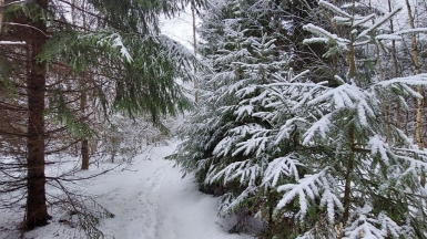 Фото наших Странников