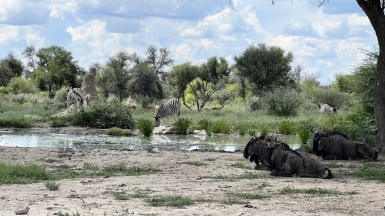 Фото: наш гид Алексей Шорец