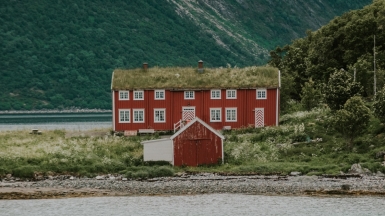 Фото: Sandra Seitamaa, unsplash.com