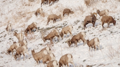 Фото: petechar, visualhunt.com