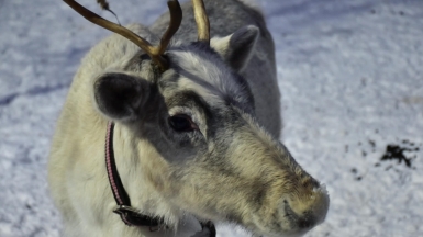 Фото нашей Странницы Татьяны Мамоненковой