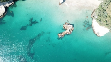 Фото: Kura Tregenza, unsplash.com