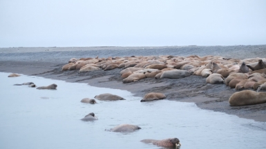 Фото из архива Клуба