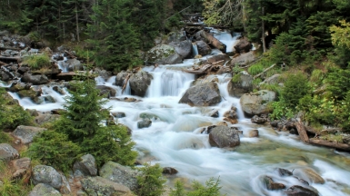 Фото нашей Странницы Александры Золотухиной