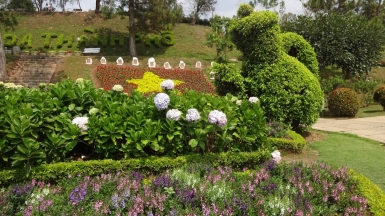 Фото нашего гида Лики Майстровой