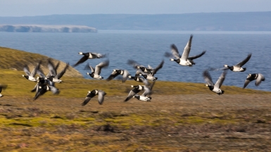 Фото из архива Клуба