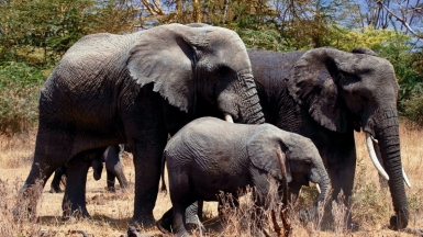 Фото: ray rui, unsplash.com