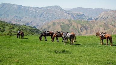 Фото: Vladislav Bychkov, unsplash.com