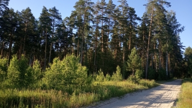 Фото нашего гида Ирины Пряничниковой