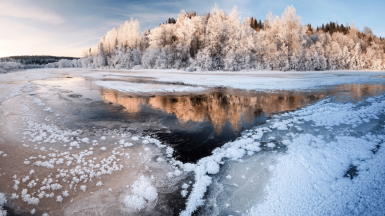Фото Юрия Овчинникова