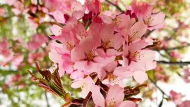 Фото из архива Клуба