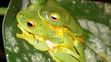 Фото: Madsvisions, visualhunt.com