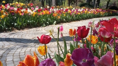 Парк Эмирган. Фото нашего гида Ирины Пряничниковой