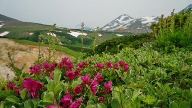 Фото нашего Странника Александра Панченко