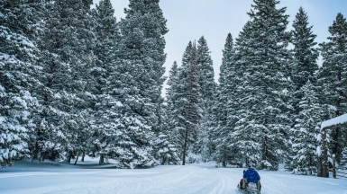 Фото: dan cutler, unsplash.com
