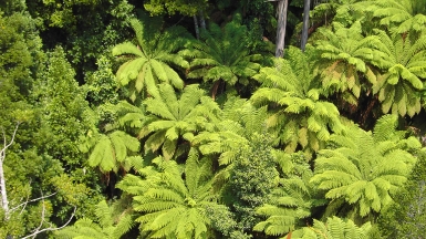 Фото: denisbin. Источник: visualhunt.com