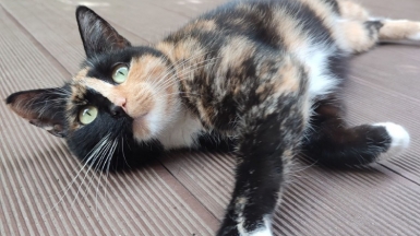 Фото наших Странников