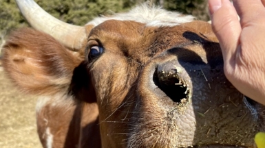 Фото нашей Странницы Елены Глаголевой