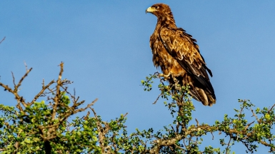 Фото: Ninara31, visualhunt.com