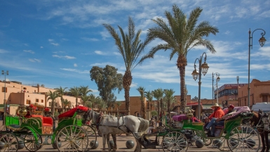 Фото нашей Странницы Татьяны Руновой