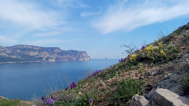 Фото нашего гида Галины Шелудько
