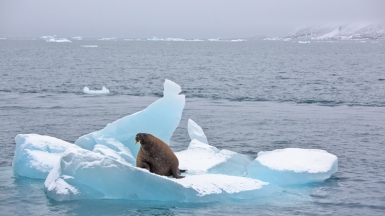 Фото из архива Клуба