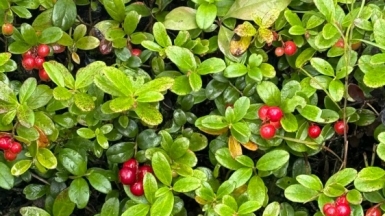 Фото нашей Странницы Натальи Акуловой