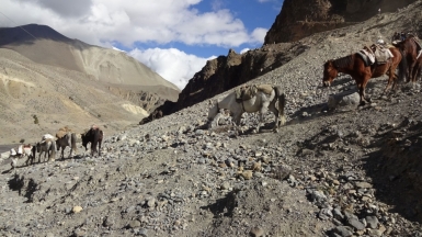 Фото нашего гида Лики Майстровой