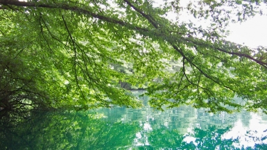 Фото: Michal Vogt, visualhunt.com