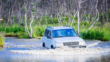 Фото «Китовый берег»