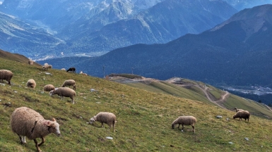 Фото нашей Странницы Татьяны Устиновой