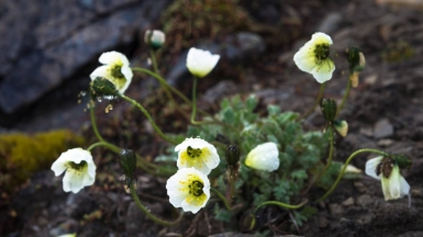 Фото из архива