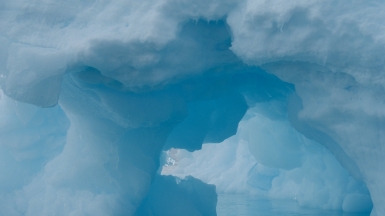 Фото: kimberley_collins, visualhunt.com