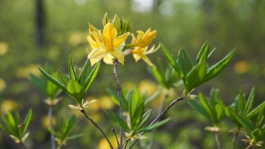 Фото нашего Странника Дмитрия Рассказова