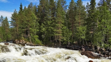 Колвица. Фото нашего гида Галины Шелудько