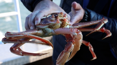 Фото нашего Странника Николая Савичева