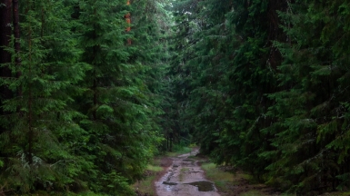 Фото гида Михаила Верёвченко