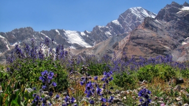 Фото из архива