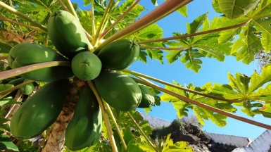 Фото нашего гида Марины Билаловой
