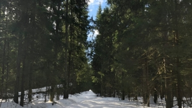 Фото нашего гида Александра Чудновского